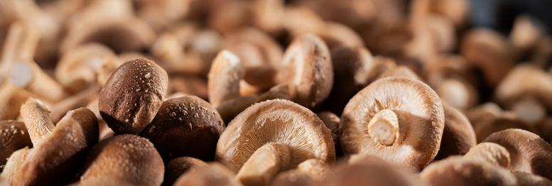 Mushrooms