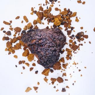 chaga (2)