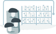 Growing of KÄÄPÄ Biotech