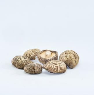 shiitake (2)