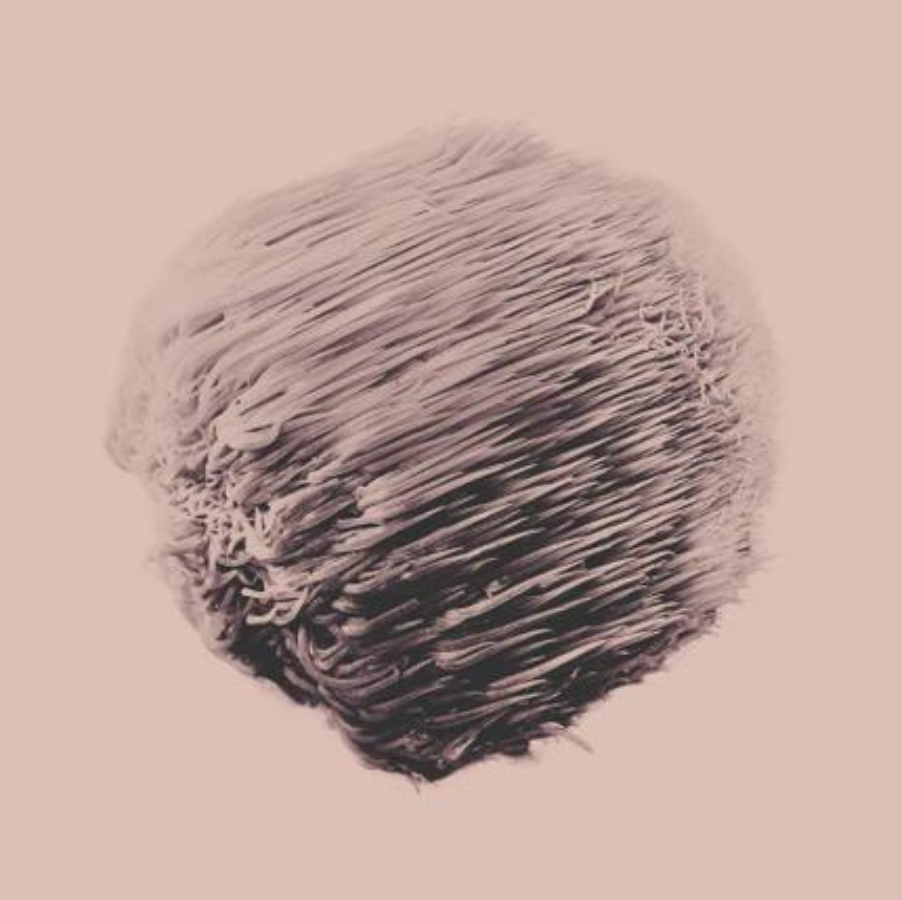 KÄÄPÄ Biotech Lion's Mane