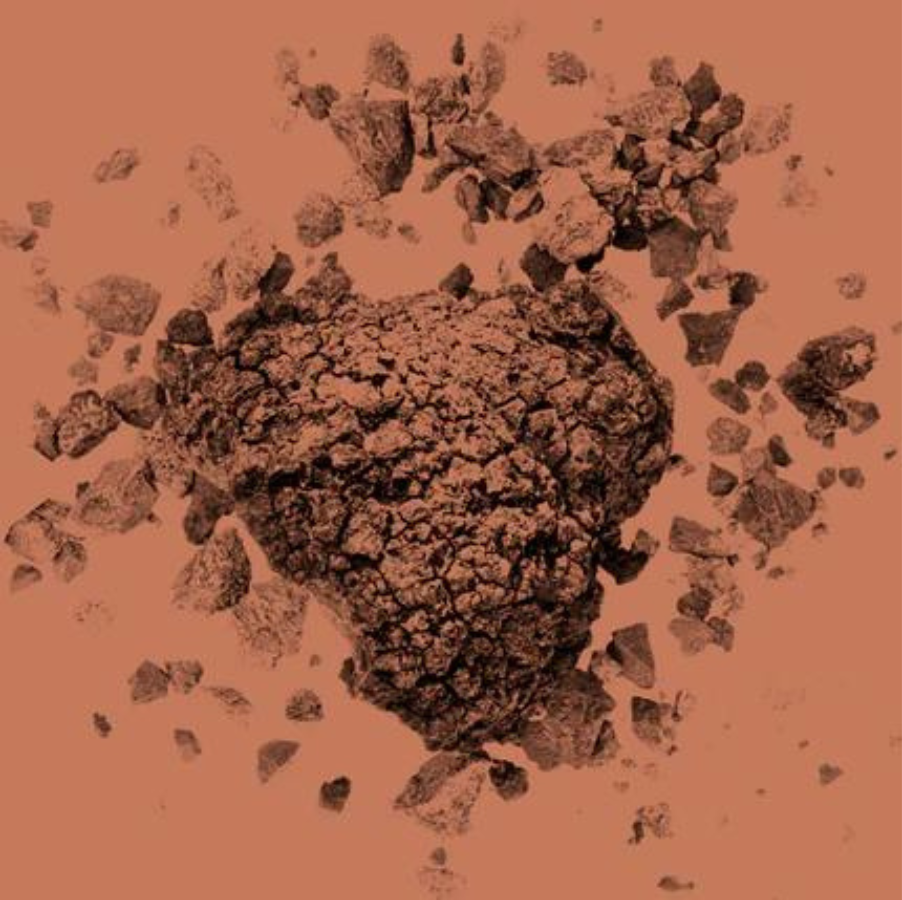 KÄÄPÄ Biotech Chaga