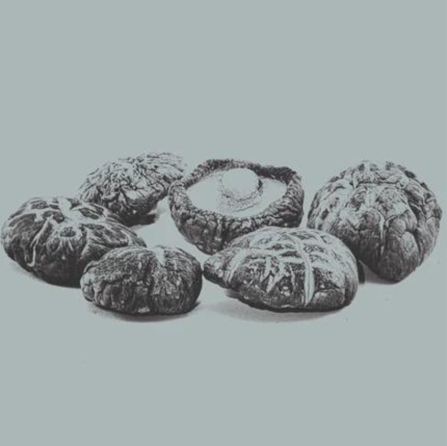 Shiitake