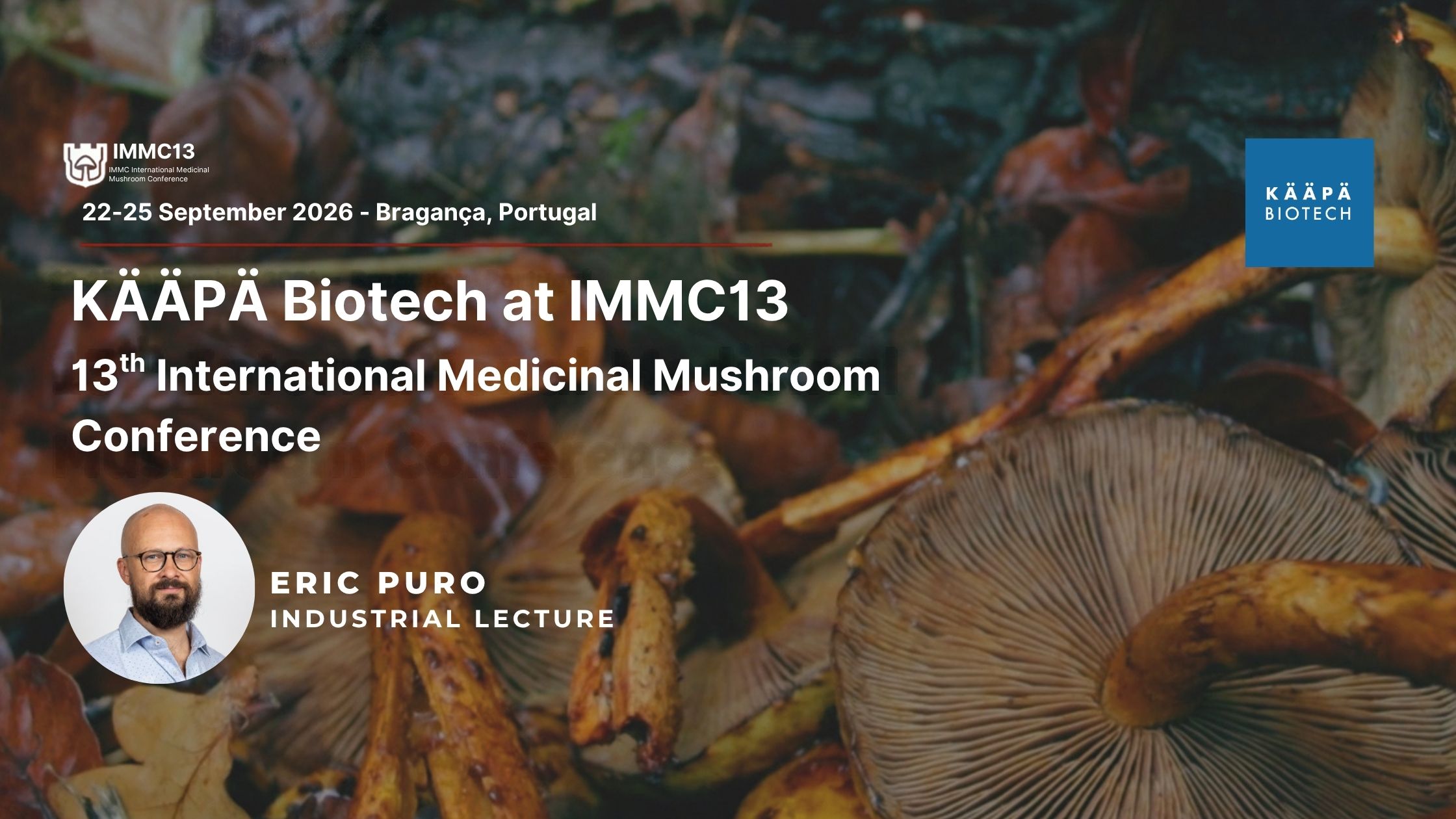 Functional Mushrooms ingredients